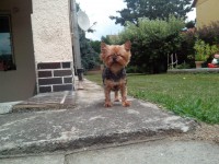 /album/yorkshire2014-cz/img-20130712-140802-jpg/